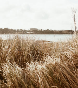 Fabricarea ecologică în Bretania